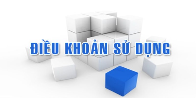 Đọc kỹ điều khoản giúp tránh rủi ro
