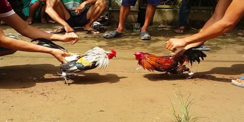 Kết quả dựa trên khả năng áp đảo đối thủ